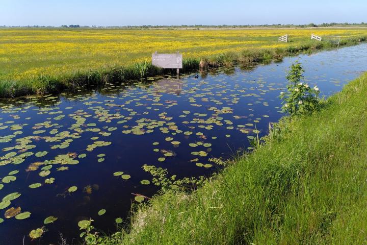 Brede vaart met pompebleden en een bord met de tekst laagveenreservaat de deelen